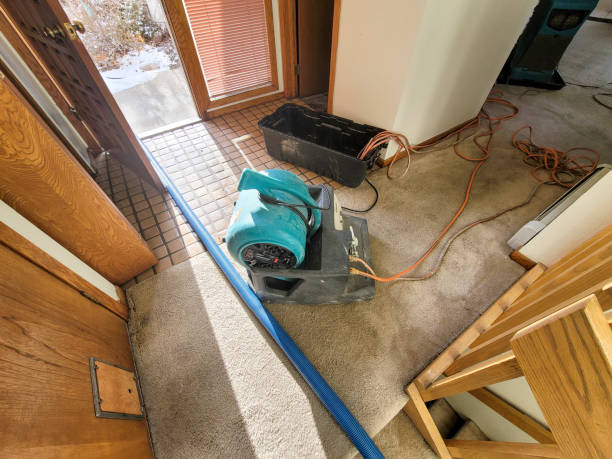 Best Carpet water damage restoration  in Fairlawn, OH