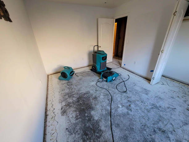 Best Water damage restoration mold remediation  in Fairlawn, OH