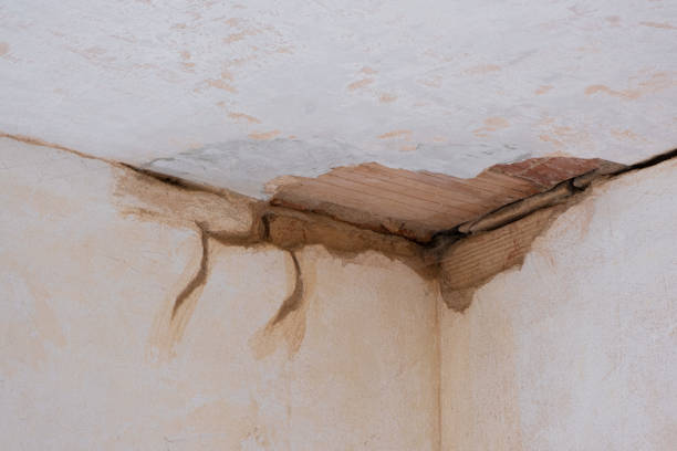 Best 24/7 water damage repair  in Fairlawn, OH