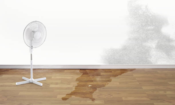 Best Professional water damage repair  in Fairlawn, OH