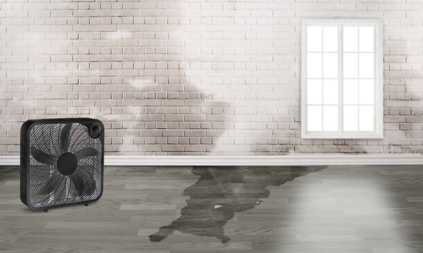 Best Water damage restoration near me  in Fairlawn, OH
