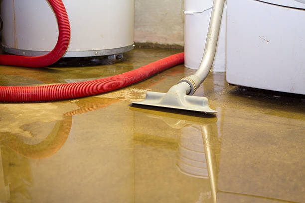 Best Local water damage restoration  in Fairlawn, OH
