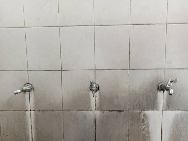 Best Flooded house restoration  in Fairlawn, OH